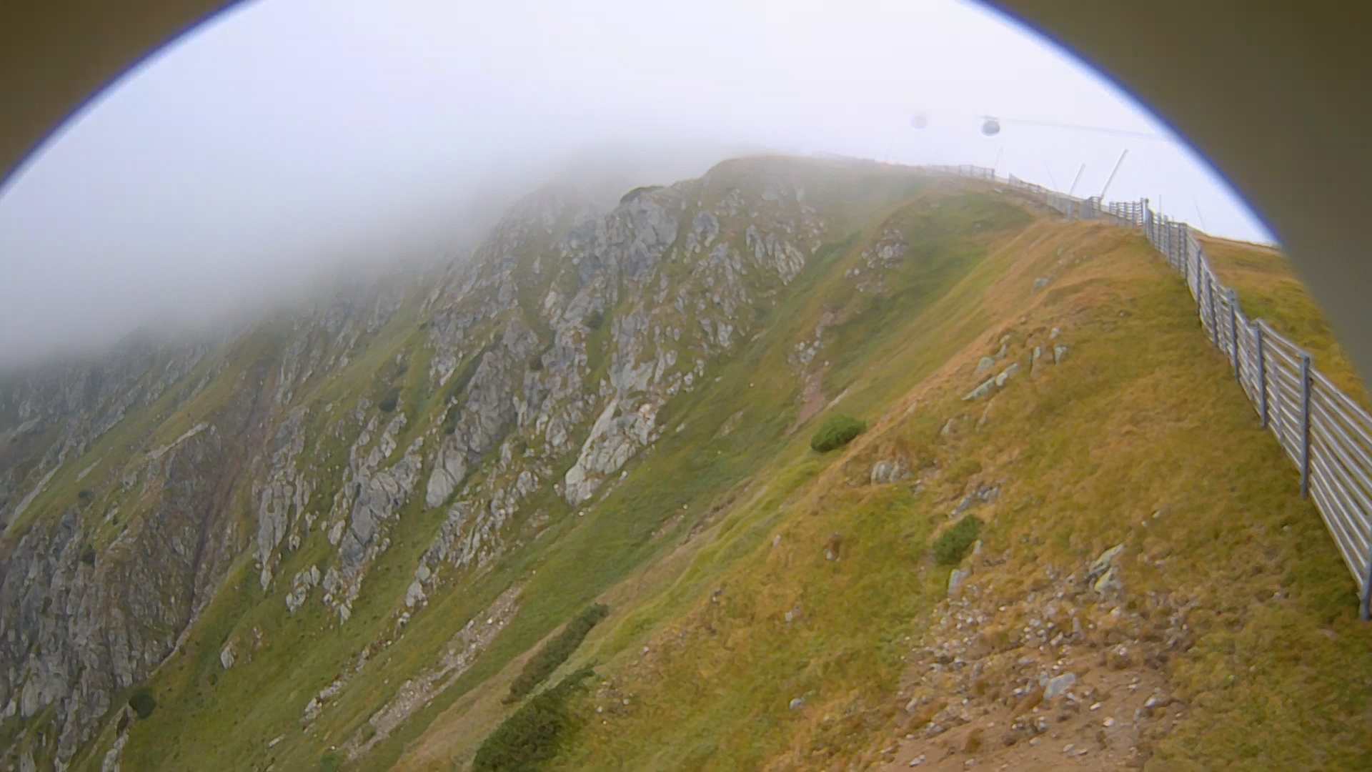 Chopok freeride zone (1843m)
